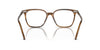 Oliver Peoples Rasey OV5488U Raintree #colour_raintree