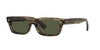 Oliver Peoples Boudreau L.A OV5510SU Soft Olive Bark/Grey #colour_soft-olive-bark-grey