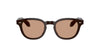 Oliver Peoples N.01 OV5528U Kuri Brown/Dusk Beach #colour_kuri-brown-dusk-beach