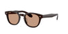 Oliver Peoples N.01 OV5528U Kuri Brown/Dusk Beach #colour_kuri-brown-dusk-beach