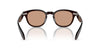 Oliver Peoples N.01 OV5528U Kuri Brown/Dusk Beach #colour_kuri-brown-dusk-beach