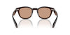 Oliver Peoples N.01 OV5528U Kuri Brown/Dusk Beach #colour_kuri-brown-dusk-beach