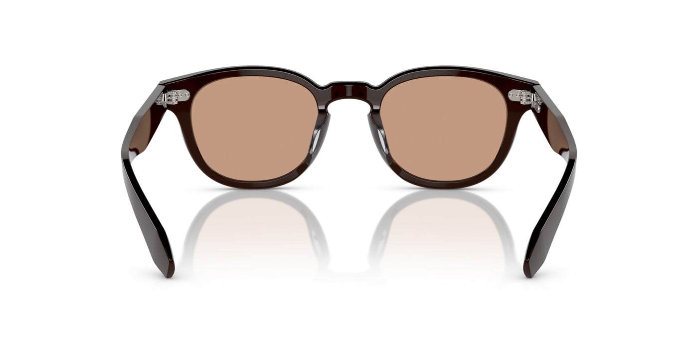 Oliver Peoples N.01 OV5528U Kuri Brown/Dusk Beach #colour_kuri-brown-dusk-beach