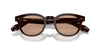 Oliver Peoples N.01 OV5528U Kuri Brown/Dusk Beach #colour_kuri-brown-dusk-beach