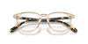 Oliver Peoples Nev OV5532U Buff/Vintage DTB #colour_buff-vintage-dtb