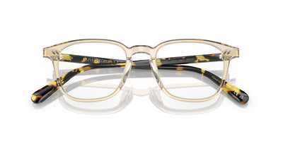 Oliver Peoples Nev OV5532U Buff/Vintage DTB #colour_buff-vintage-dtb