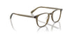 Oliver Peoples Nev OV5532U Dusty Olive #colour_dusty-olive