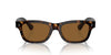 Oliver Peoples Rosson Sun OV5540SU 362/True Brown #colour_362-true-brown