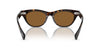 Oliver Peoples Avelin OV5541SU 362/True Brown #colour_362-true-brown