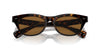 Oliver Peoples Avelin OV5541SU 362/True Brown #colour_362-true-brown