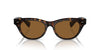 Oliver Peoples Avelin OV5541SU 362/True Brown #colour_362-true-brown