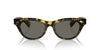 Oliver Peoples Avelin OV5541SU Vintage Dtbk/Carbon Grey #colour_vintage-dtbk-carbon-grey