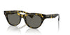 Oliver Peoples Avelin OV5541SU Vintage Dtbk/Carbon Grey #colour_vintage-dtbk-carbon-grey