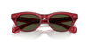 Oliver Peoples Avelin OV5541SU Translucent Red/G-15 #colour_translucent-red-g-15