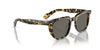 Oliver Peoples N.06 Sun OV5546SU Tokyo Tortoise/Carbon Grey #colour_tokyo-tortoise-carbon-grey