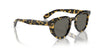 Oliver Peoples N.05 Sun OV5547SU Tokyo Tortoise/Carbon Grey #colour_tokyo-tortoise-carbon-grey