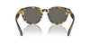 Oliver Peoples N.05 Sun OV5547SU Tokyo Tortoise/Carbon Grey #colour_tokyo-tortoise-carbon-grey