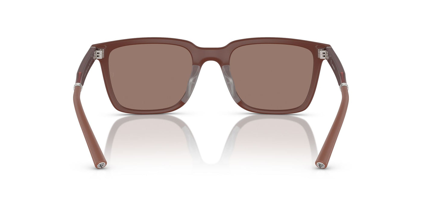 Oliver Peoples Mr. Federer OV5553SU Semi Matte Brick/Sierra #colour_semi-matte-brick-sierra