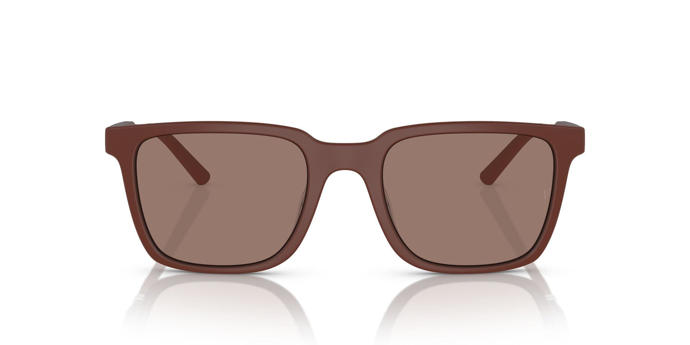 Oliver Peoples Mr. Federer OV5553SU Semi Matte Brick/Sierra #colour_semi-matte-brick-sierra