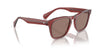 Oliver Peoples R-3 OV5555SU Brick/Sierra #colour_brick-sierra