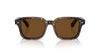 Oliver Peoples Errisson Sun OV5562SU Atago Tortoise/True Brown Polarised #colour_atago-tortoise-true-brown-polarised