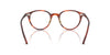 Oliver Peoples Sarelle OV5577 Semi-Matt Tuscany Tortoise #colour_semi-matt-tuscany-tortoise
