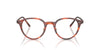 Oliver Peoples Sarelle OV5577 Semi-Matt Tuscany Tortoise #colour_semi-matt-tuscany-tortoise