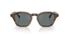 Oliver Peoples Eyles OV5580SU Sycamore/Regal Blue #colour_sycamore-regal-blue