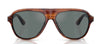 Oliver Peoples Paul Newman OV5581SU#colour_dark-amber-smoke-regal-blue