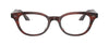 #colour_Morado-Tortoise