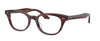 #colour_Morado-Tortoise