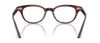 #colour_Morado-Tortoise