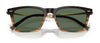 #colour_cortado-g-15-polarised