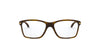 #colour_polished-brown-tortoise