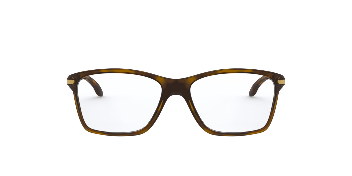 #colour_polished-brown-tortoise