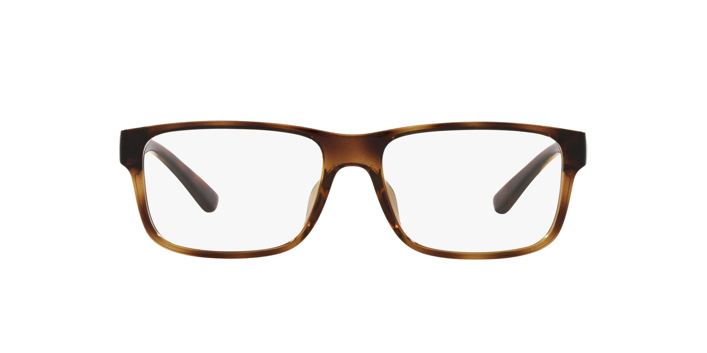 Polo Ralph Lauren PH2237U Shiny Havana #colour_shiny-havana