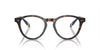 Polo Ralph Lauren PH2268 Shiny Dark Havana #colour_shiny-dark-havana