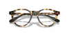 Polo Ralph Lauren PH2268 Dark Tortoise #colour_dark-tortoise