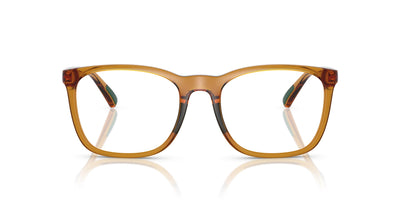 Polo Ralph Lauren PH2281U Shiny Transparent Honey Brown #colour_shiny-transparent-honey-brown