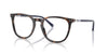 Polo Ralph Lauren PH2288 Shiny Havana #colour_shiny-havana