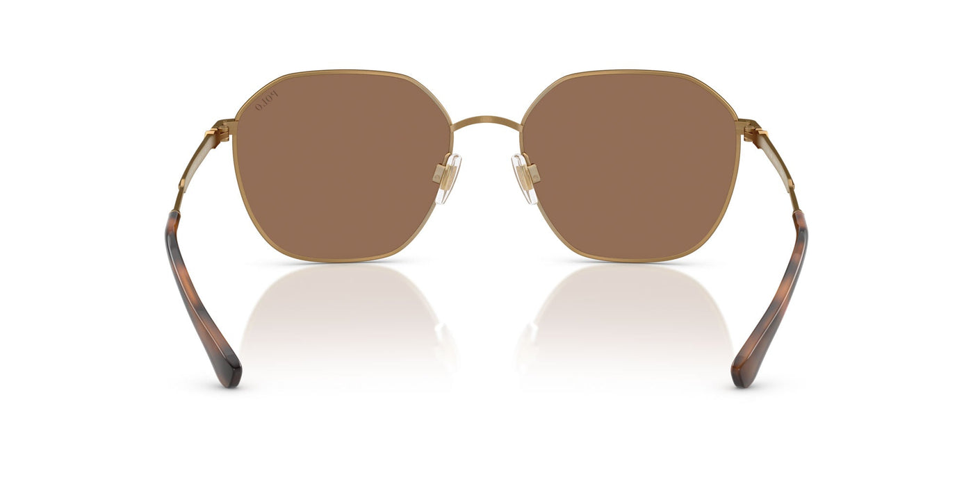 Polo Ralph Lauren PH3160 Semi-Shiny Antique/Dark Brown #colour_semi-shiny-antique-dark-brown