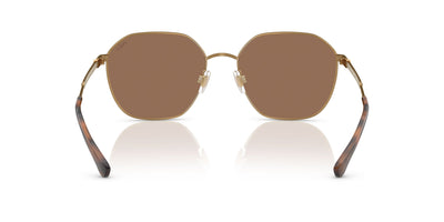 Polo Ralph Lauren PH3160 Semi-Shiny Antique/Dark Brown #colour_semi-shiny-antique-dark-brown