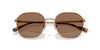 Polo Ralph Lauren PH3160 Semi-Shiny Antique/Dark Brown #colour_semi-shiny-antique-dark-brown