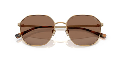 Polo Ralph Lauren PH3160 Semi-Shiny Antique/Dark Brown #colour_semi-shiny-antique-dark-brown