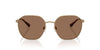 Polo Ralph Lauren PH3160 Semi-Shiny Antique/Dark Brown #colour_semi-shiny-antique-dark-brown
