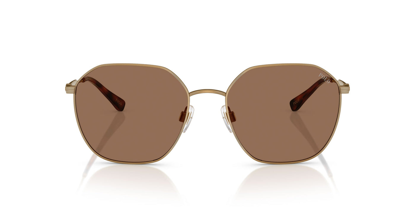 Polo Ralph Lauren PH3160 Semi-Shiny Antique/Dark Brown #colour_semi-shiny-antique-dark-brown