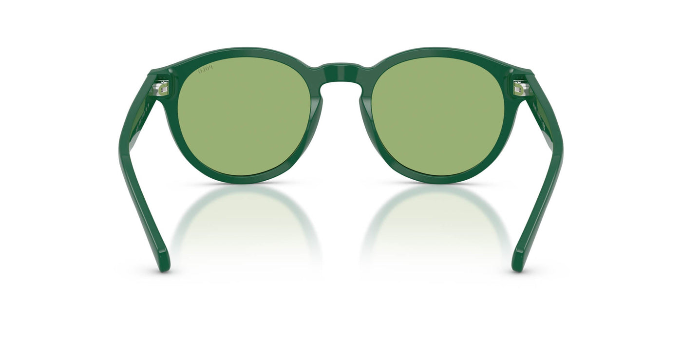 Polo Ralph Lauren PH4192 Shiny Dark Green/Light Green #colour_shiny-dark-green-light-green