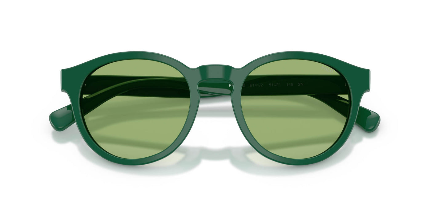 Polo Ralph Lauren PH4192 Shiny Dark Green/Light Green #colour_shiny-dark-green-light-green
