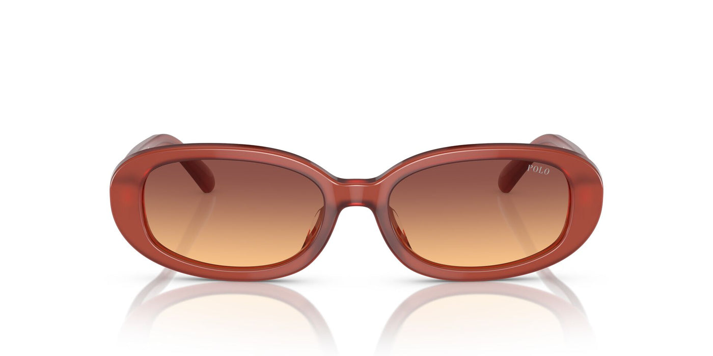 Polo Ralph Lauren PH4198U Opal Cognac/Orange Violet Gradient #colour_opal-cognac-orange-violet-gradient