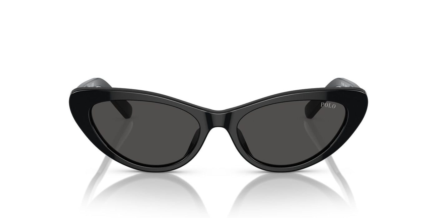 Polo Ralph Lauren PH4199U Shiny Black/Dark Grey #colour_shiny-black-dark-grey